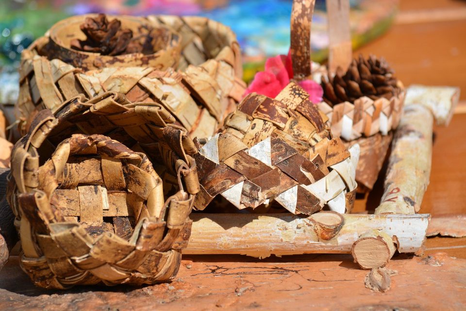 Bushcrafting – Birkenrinde als Wasserbehälter
