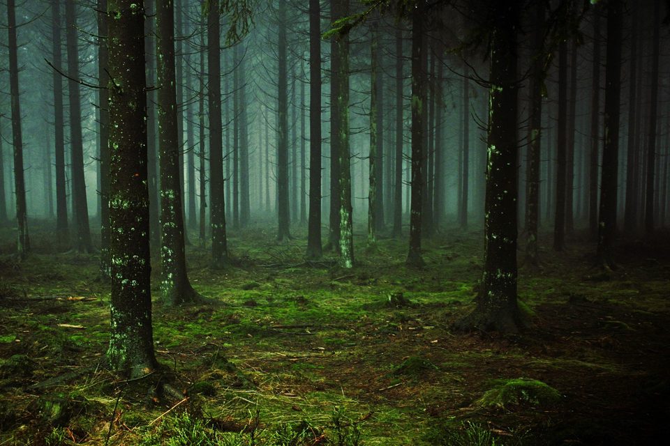 Tourniquet – Erste Hilfe in der Wildnis