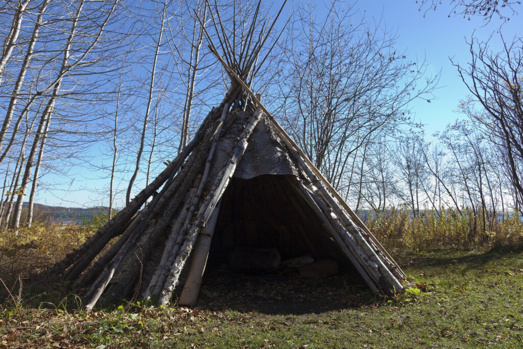 Bushcrafting - Birkenrinde für improvisierte Behausungen